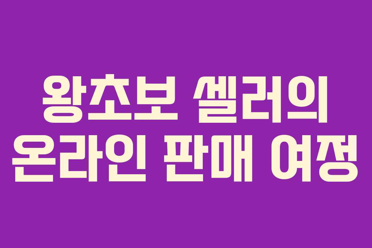 왕초보 셀러의 온라인 판매 여정