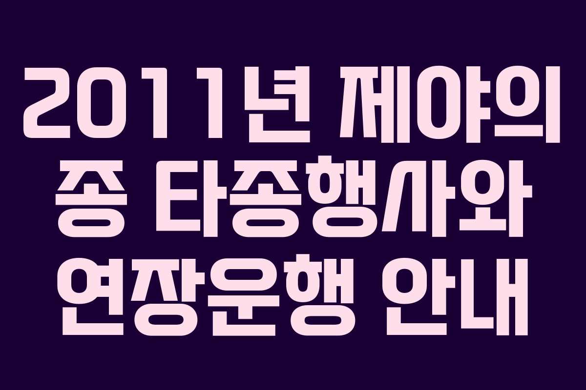 2011년 제야의 종 타종행사와 연장운행 안내