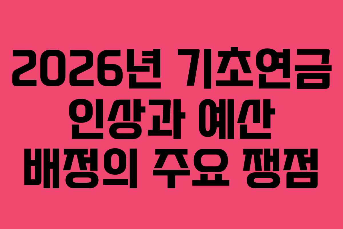 2026년 기초연금 인상과 예산 배정의 주요 쟁점