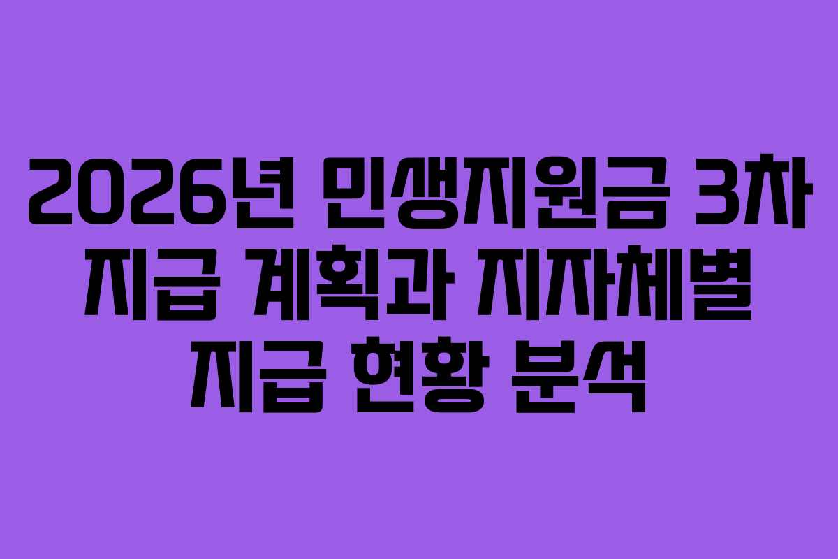 2026년 민생지원금 3차 지급 계획과 지자체별 지급 현황 분석