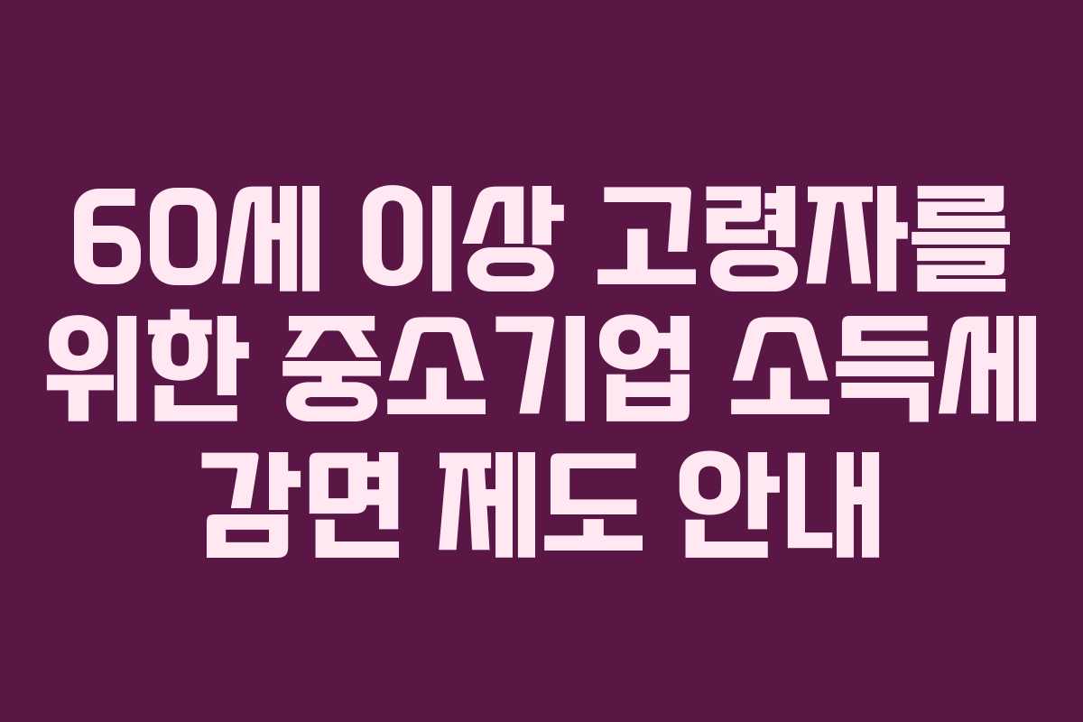60세 이상 고령자를 위한 중소기업 소득세 감면 제도 안내