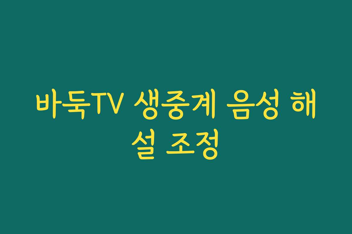 바둑TV 생중계 음성 해설 조정 바둑TV 생중계 음성 해설 조정