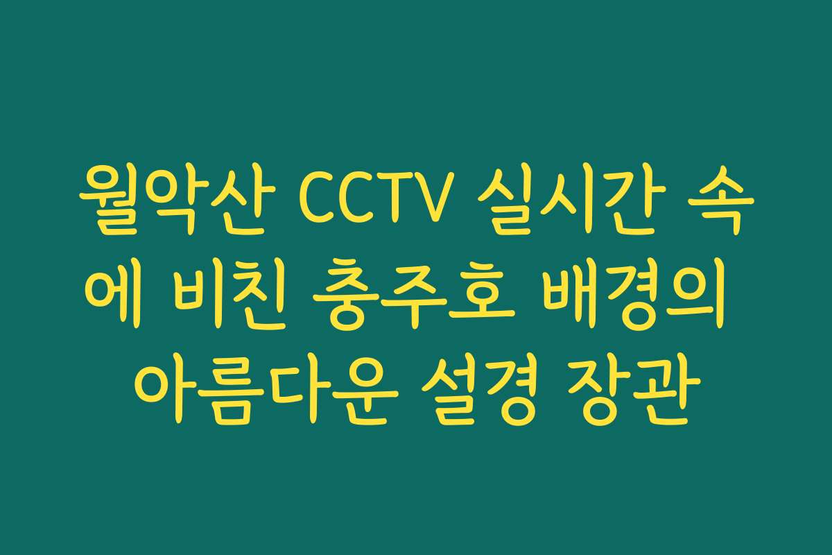 월악산 CCTV 실시간 속에 비친 충주호 배경의 아름다운 설경 장관