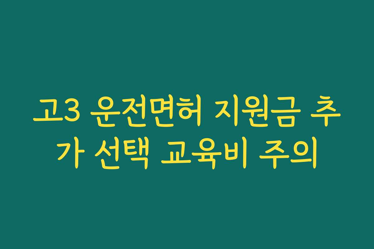 고3 운전면허 지원금 추가 선택 교육비 주의