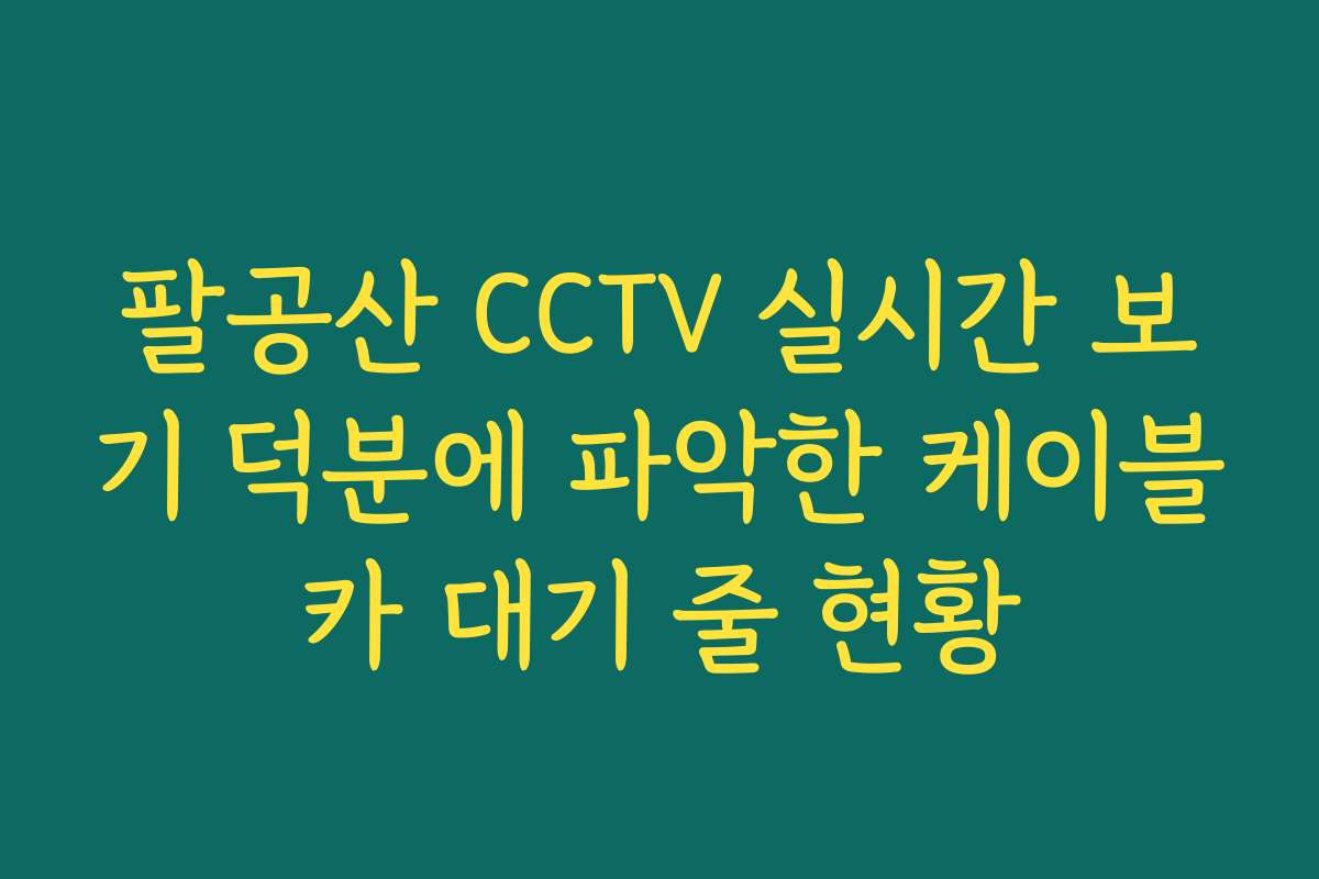 팔공산 CCTV 실시간 보기 덕분에 파악한 케이블카 대기 줄 현황