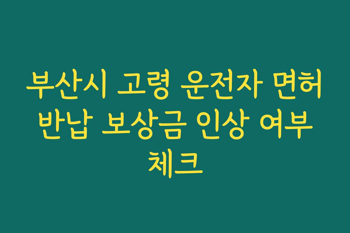 부산시 고령 운전자 면허 반납 보상금 인상 여부 체크