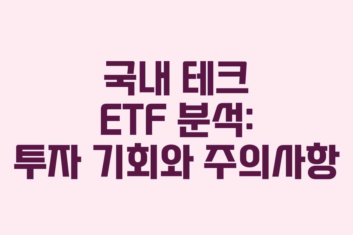 국내 테크 ETF 분석: 투자 기회와 주의사항 국내 테크 ETF 분석: 투자 기회와 주의사항