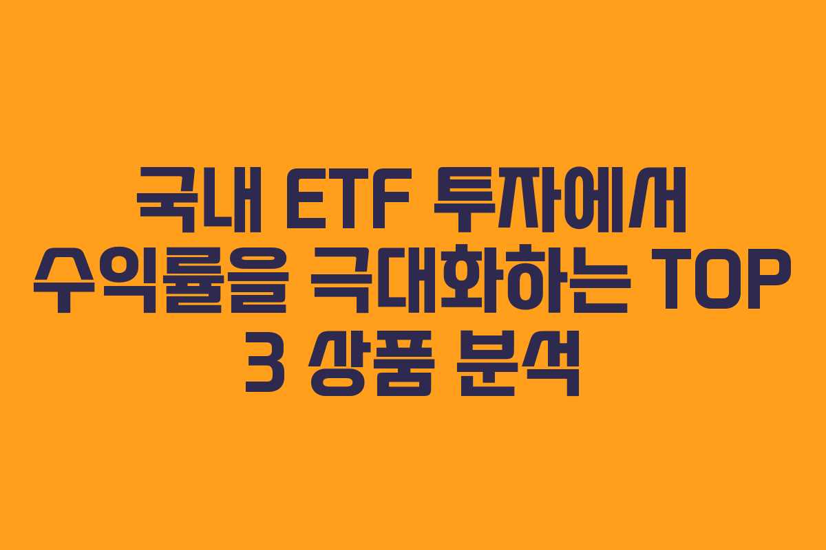 국내 ETF 투자에서 수익률을 극대화하는 TOP 3 상품 분석 국내 ETF 투자에서 수익률을 극대화하는 TOP 3 상품 분석