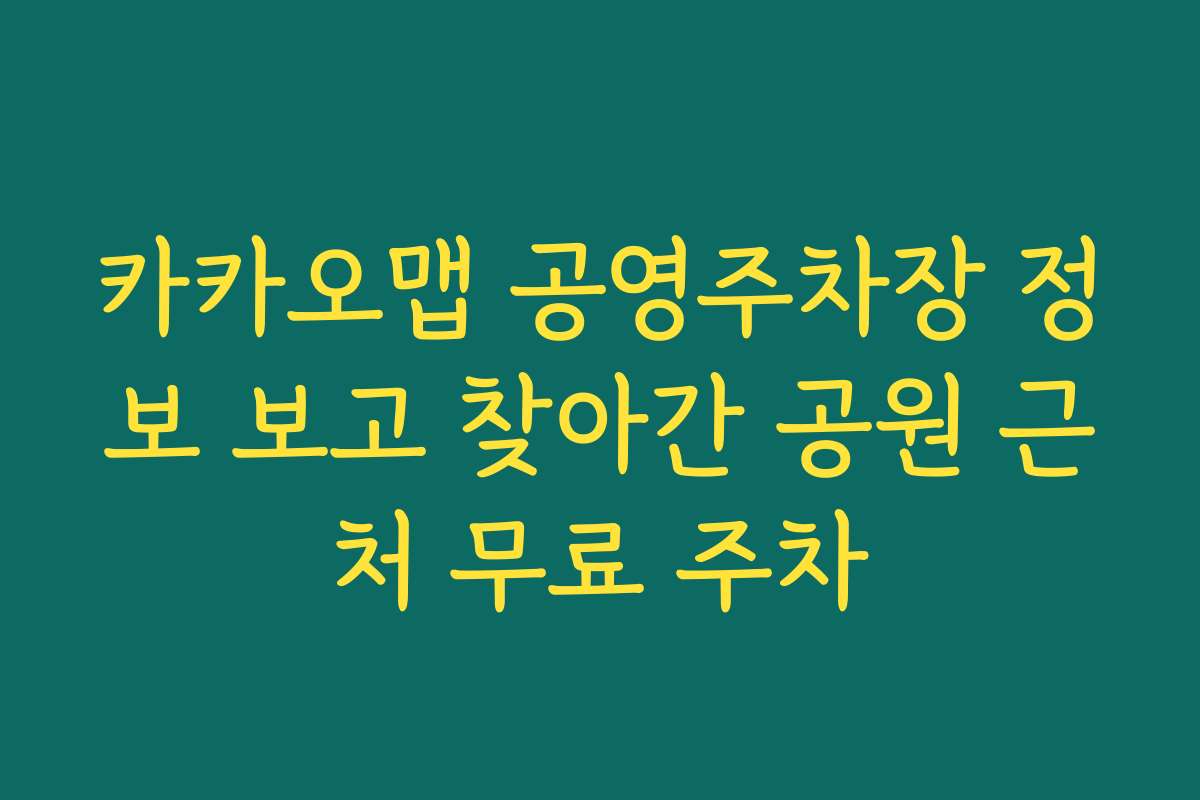 카카오맵 공영주차장 정보 보고 찾아간 공원 근처 무료 주차