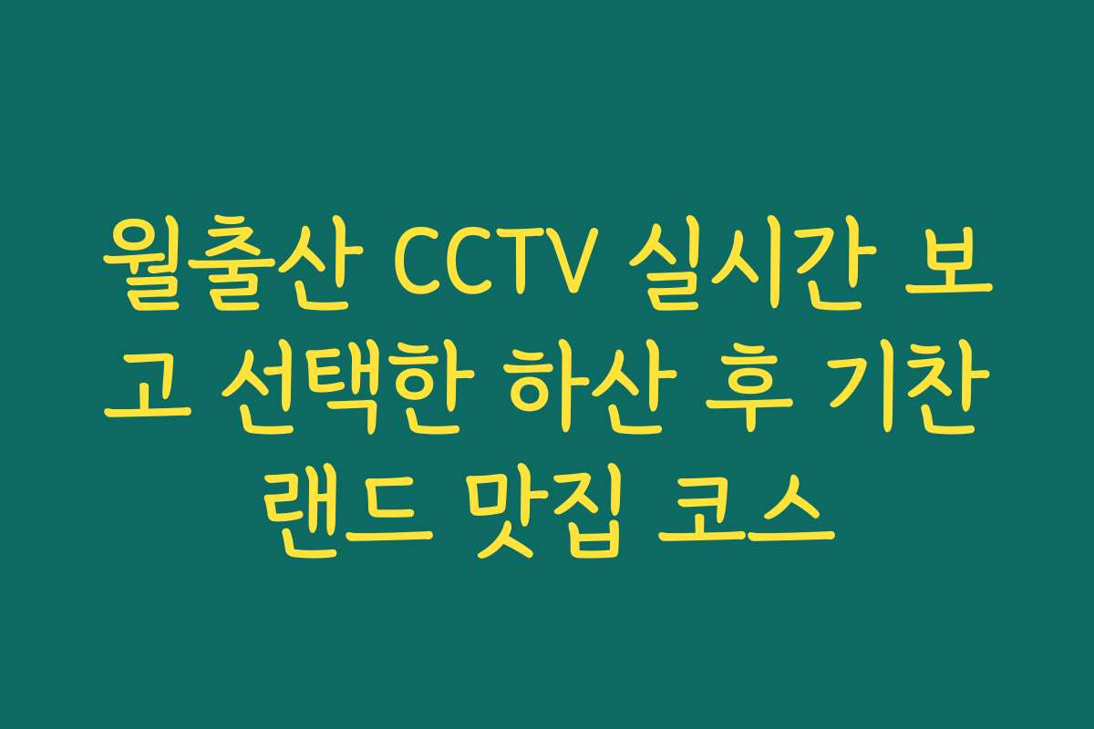월출산 CCTV 실시간 보고 선택한 하산 후 기찬랜드 맛집 코스