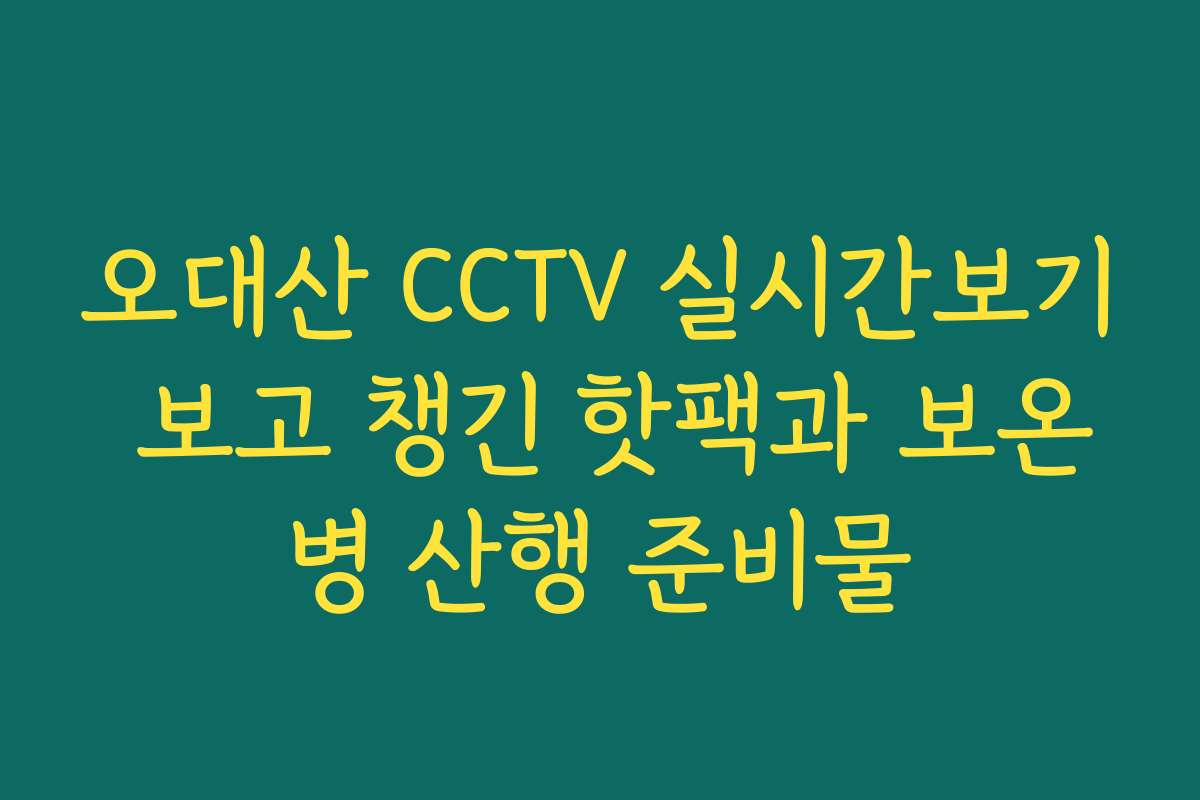 오대산 CCTV 실시간보기 보고 챙긴 핫팩과 보온병 산행 준비물