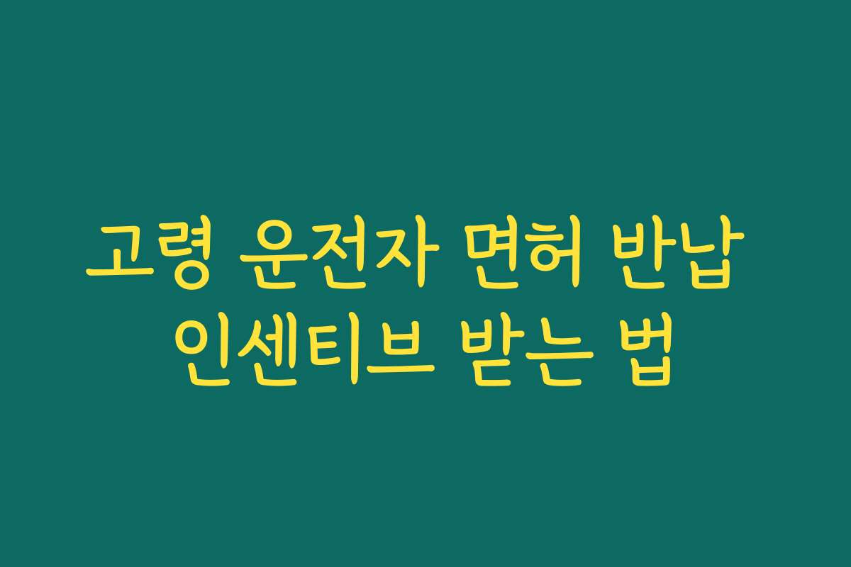 고령 운전자 면허 반납 인센티브 받는 법 고령 운전자 면허 반납 인센티브 받는 법