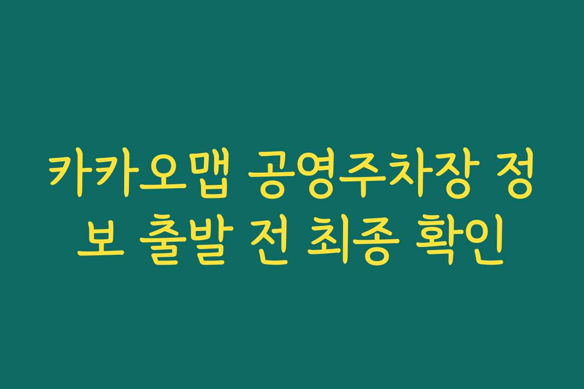 카카오맵 공영주차장 정보 출발 전 최종 확인