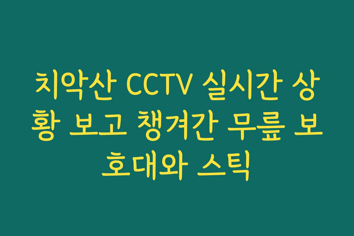 치악산 CCTV 실시간 상황 보고 챙겨간 무릎 보호대와 스틱