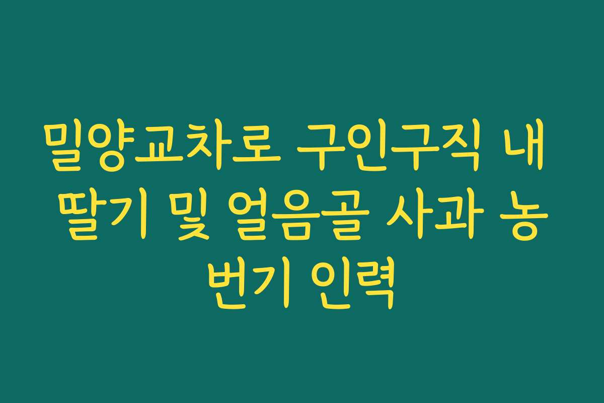 밀양교차로 구인구직 내 딸기 및 얼음골 사과 농번기 인력