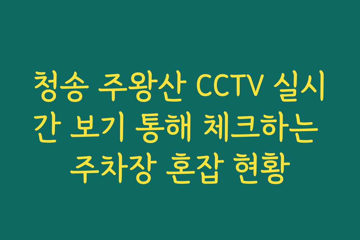 청송 주왕산 CCTV 실시간 보기 통해 체크하는 주차장 혼잡 현황