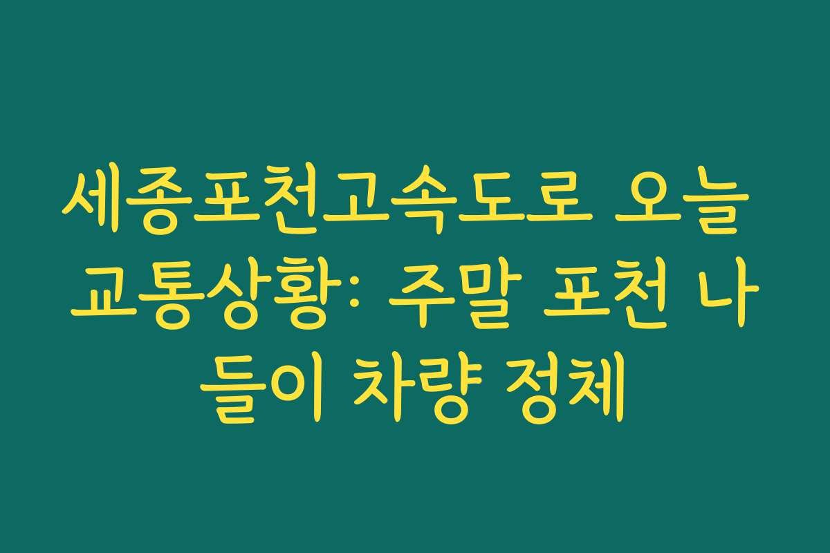 세종포천고속도로 오늘 교통상황: 주말 포천 나들이 차량 정체