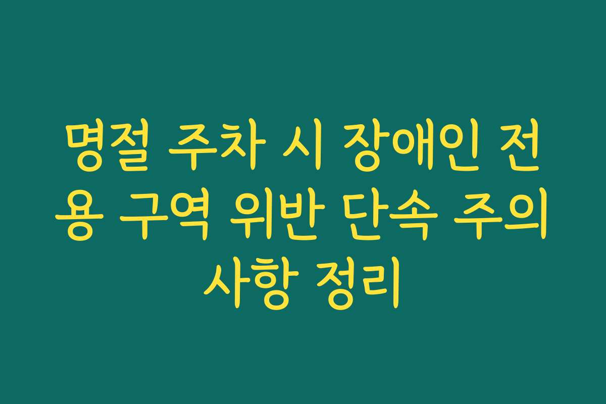 명절 주차 시 장애인 전용 구역 위반 단속 주의사항 정리