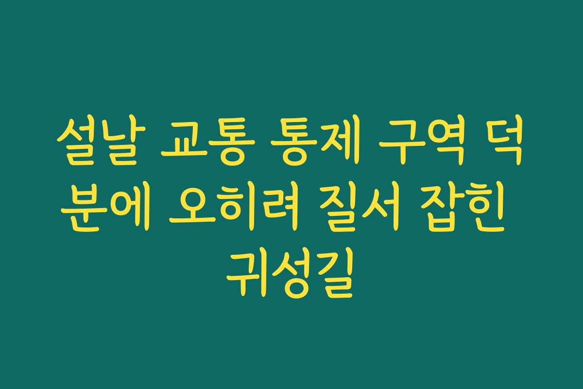 설날 교통 통제 구역 덕분에 오히려 질서 잡힌 귀성길