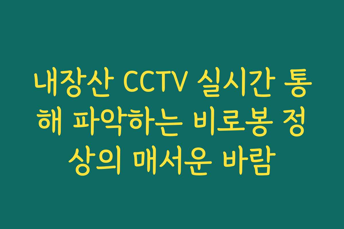 내장산 CCTV 실시간 통해 파악하는 비로봉 정상의 매서운 바람