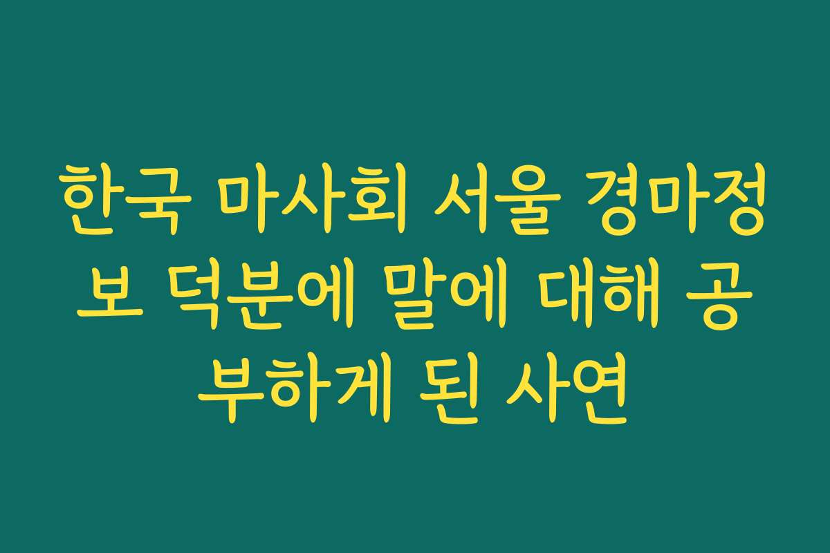한국 마사회 서울 경마정보 덕분에 말에 대해 공부하게 된 사연