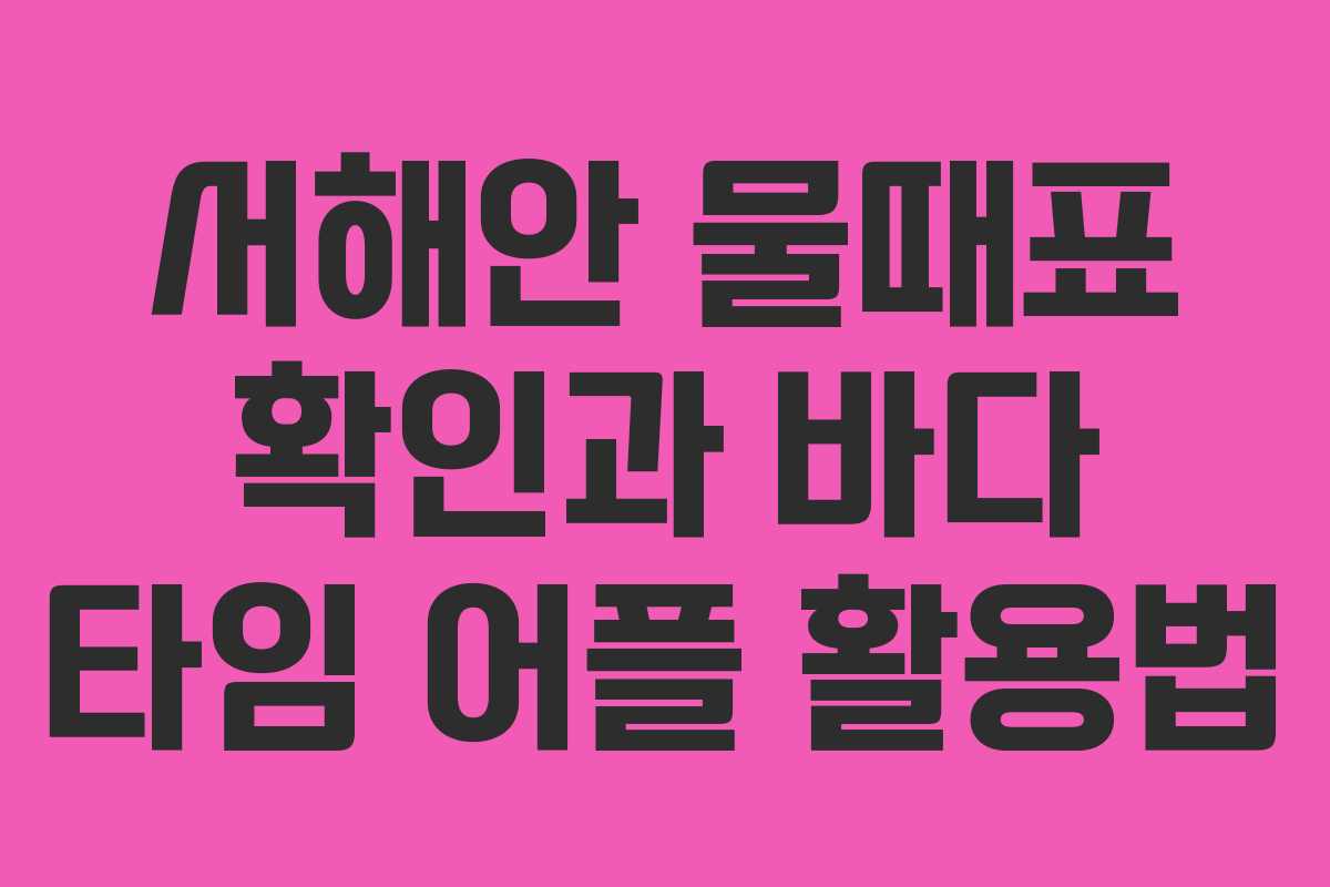 서해안 물때표 확인과 바다 타임 어플 활용법