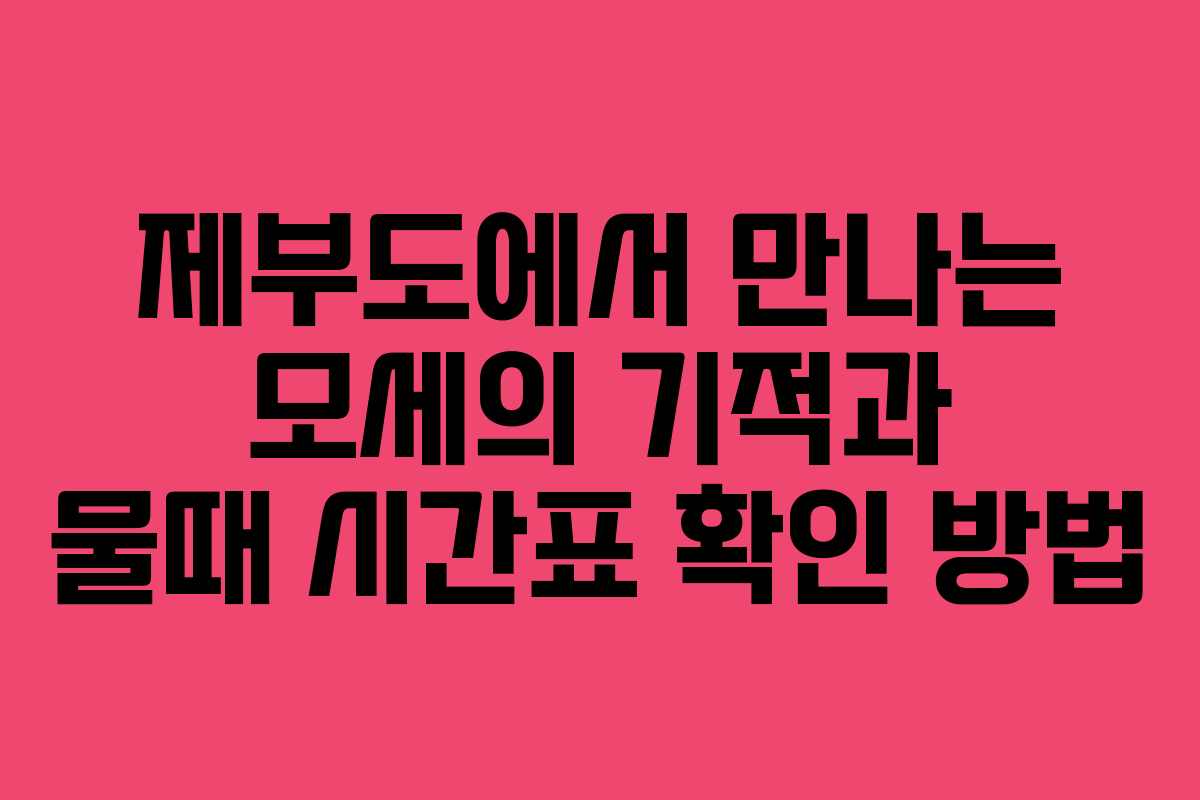 제부도에서 만나는 모세의 기적과 물때 시간표 확인 방법