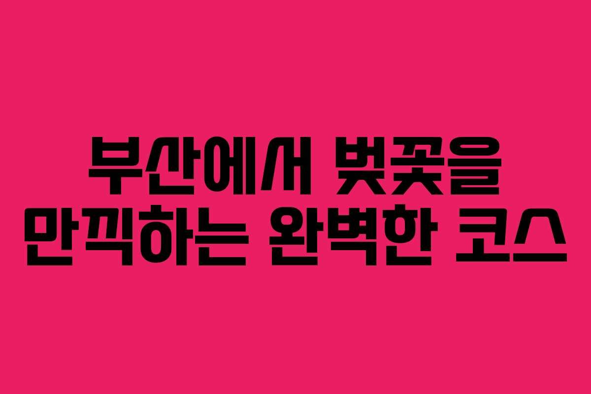 부산에서 벚꽃을 만끽하는 완벽한 코스