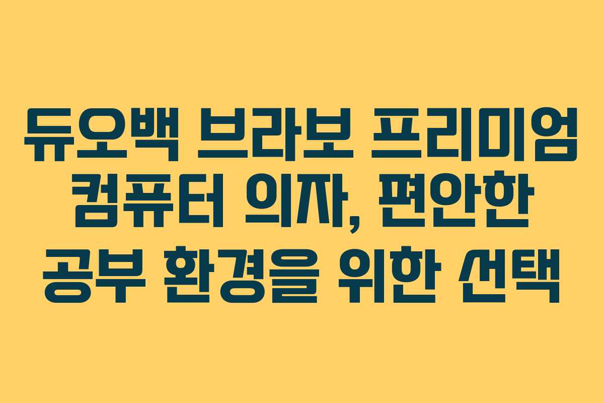듀오백 브라보 프리미엄 컴퓨터 의자, 편안한 공부 환경을 위한 선택