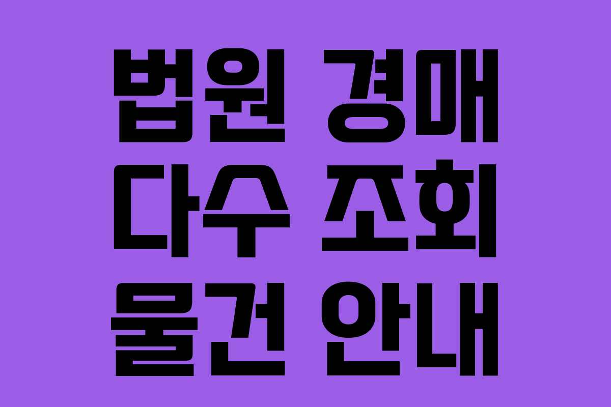 법원 경매 다수 조회 물건 안내