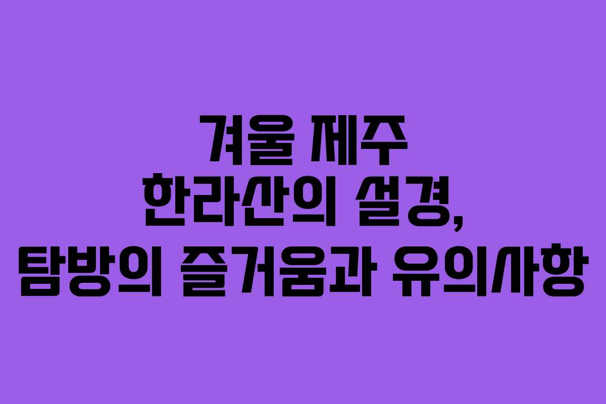겨울 제주 한라산의 설경, 탐방의 즐거움과 유의사항