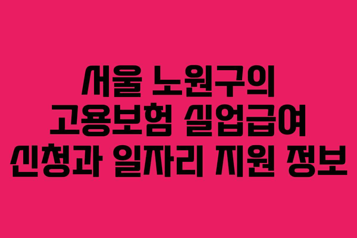서울 노원구의 고용보험 실업급여 신청과 일자리 지원 정보