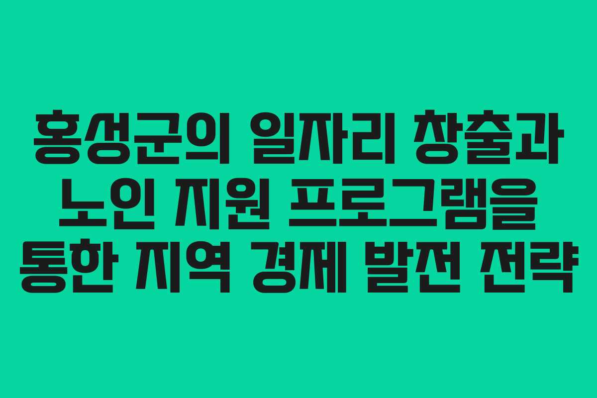 홍성군의 일자리 창출과 노인 지원 프로그램을 통한 지역 경제 발전 전략