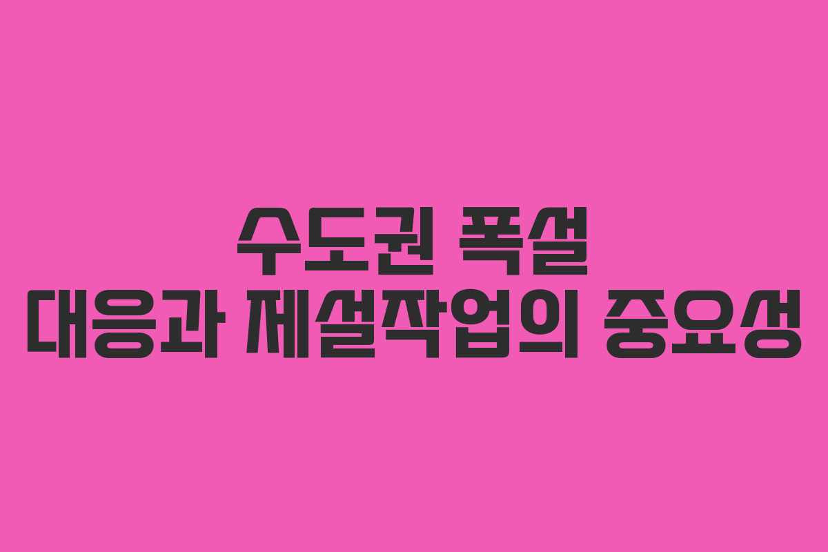 수도권 폭설 대응과 제설작업의 중요성 수도권 폭설 대응과 제설작업의 중요성