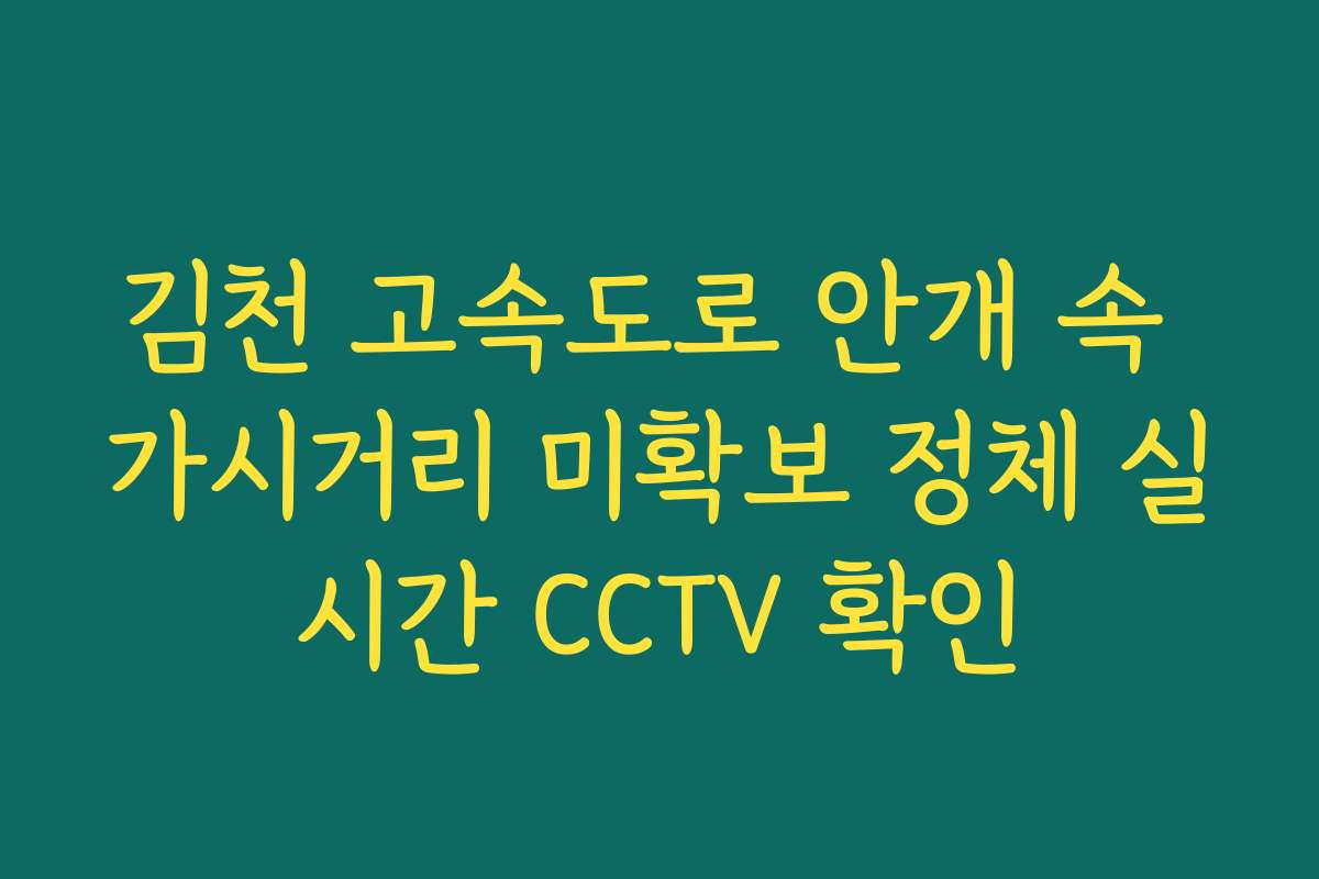 김천 고속도로 안개 속 가시거리 미확보 정체 실시간 CCTV 확인