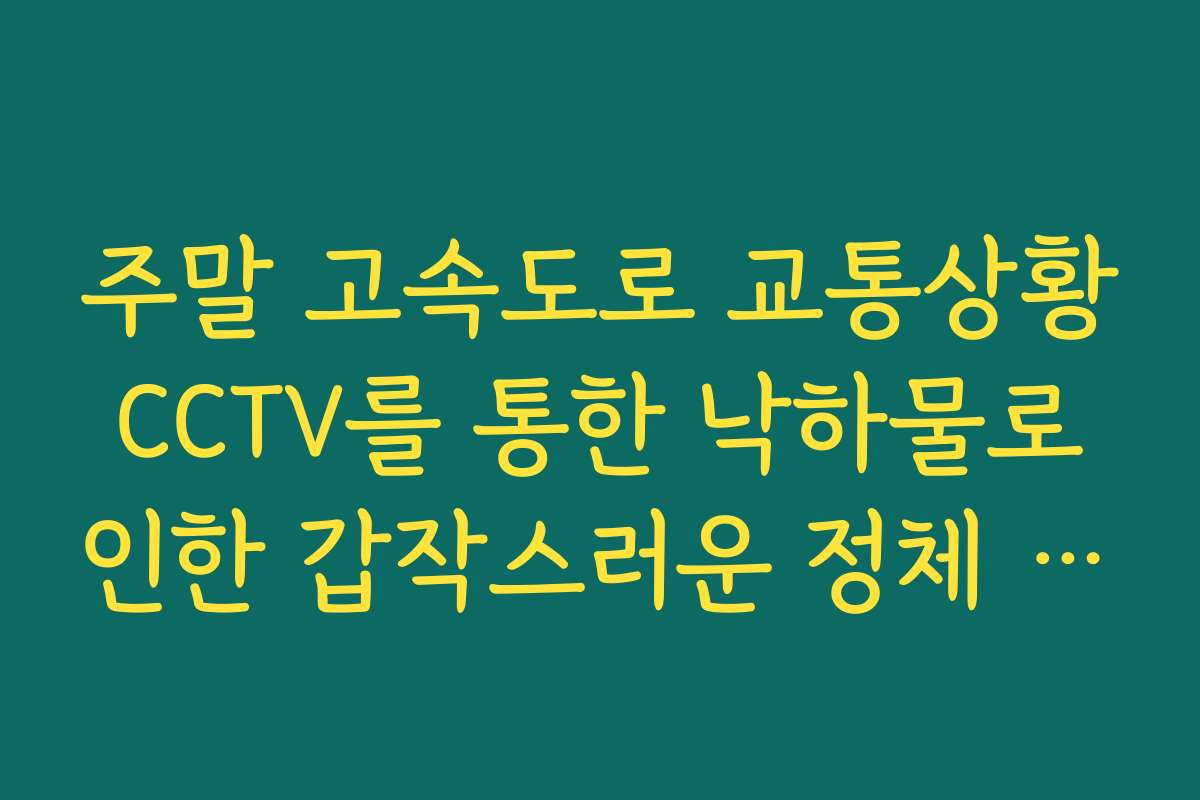 주말 고속도로 교통상황 CCTV를 통한 낙하물로 인한 갑작스러운 정체 확인 주말 고속도로 교통상황 CCTV를 통한 낙하물로 인한 갑작스러운 정체 확인