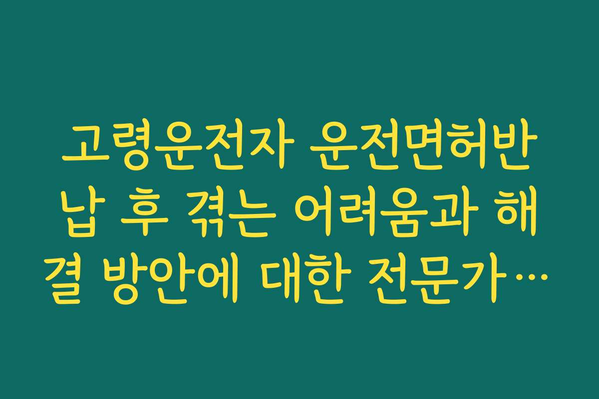 고령운전자 운전면허반납 후 겪는 어려움과 해결 방안에 대한 전문가 조언