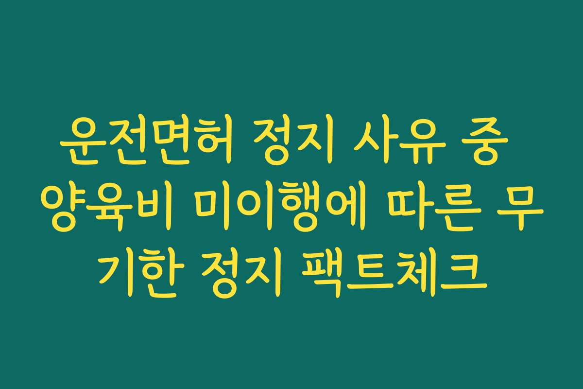 운전면허 정지 사유 중 양육비 미이행에 따른 무기한 정지 팩트체크