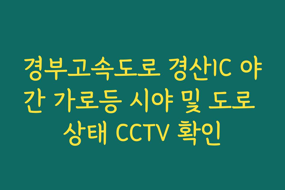 경부고속도로 경산IC 야간 가로등 시야 및 도로 상태 CCTV 확인 경부고속도로 경산IC 야간 가로등 시야 및 도로 상태 CCTV 확인