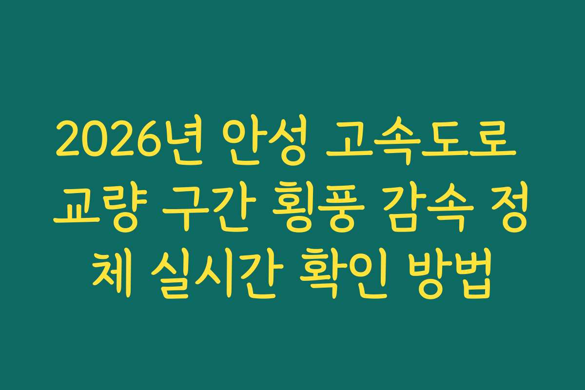 2026년 안성 고속도로 교량 구간 횡풍 감속 정체 실시간 확인 방법 2026년 안성 고속도로 교량 구간 횡풍 감속 정체 실시간 확인 방법