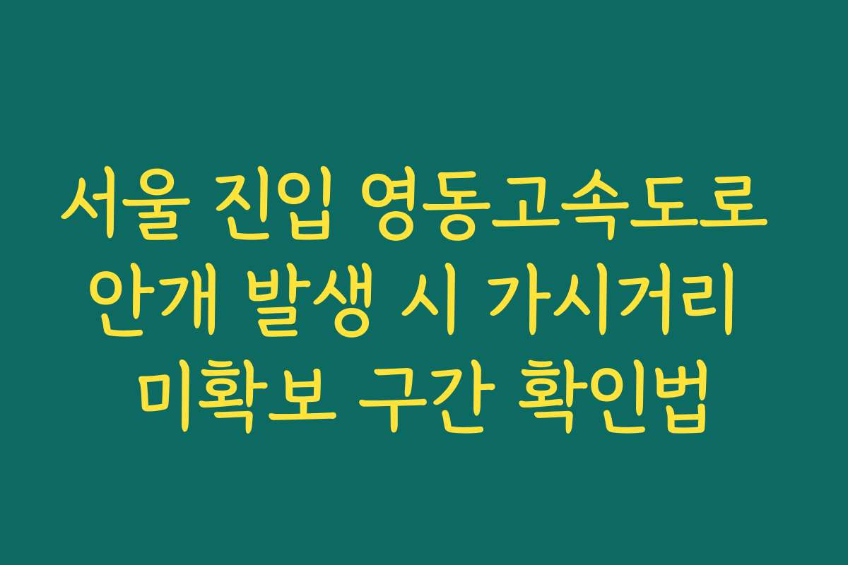 서울 진입 영동고속도로 안개 발생 시 가시거리 미확보 구간 확인법