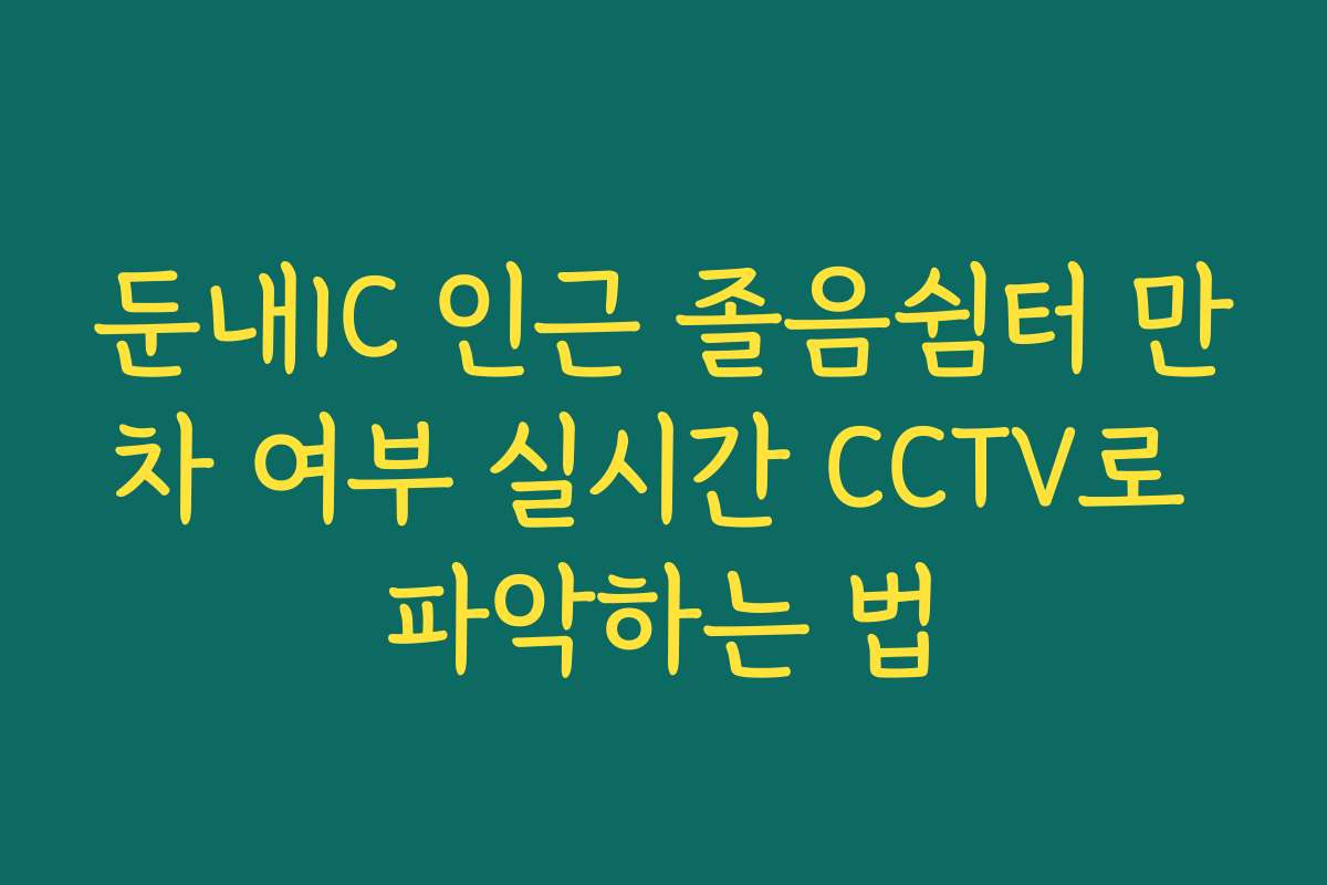 둔내IC 인근 졸음쉼터 만차 여부 실시간 CCTV로 파악하는 법 둔내IC 인근 졸음쉼터 만차 여부 실시간 CCTV로 파악하는 법