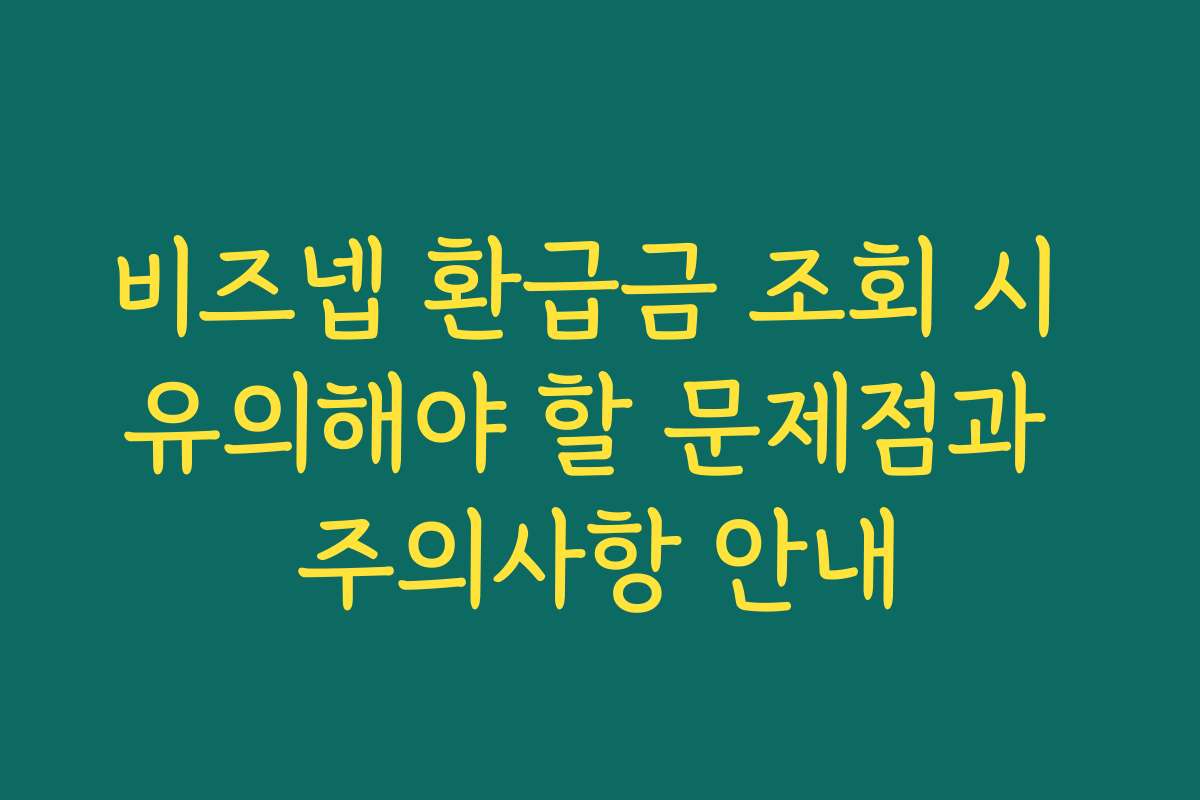 비즈넵 환급금 조회 시 유의해야 할 문제점과 주의사항 안내 비즈넵 환급금 조회 시 유의해야 할 문제점과 주의사항 안내