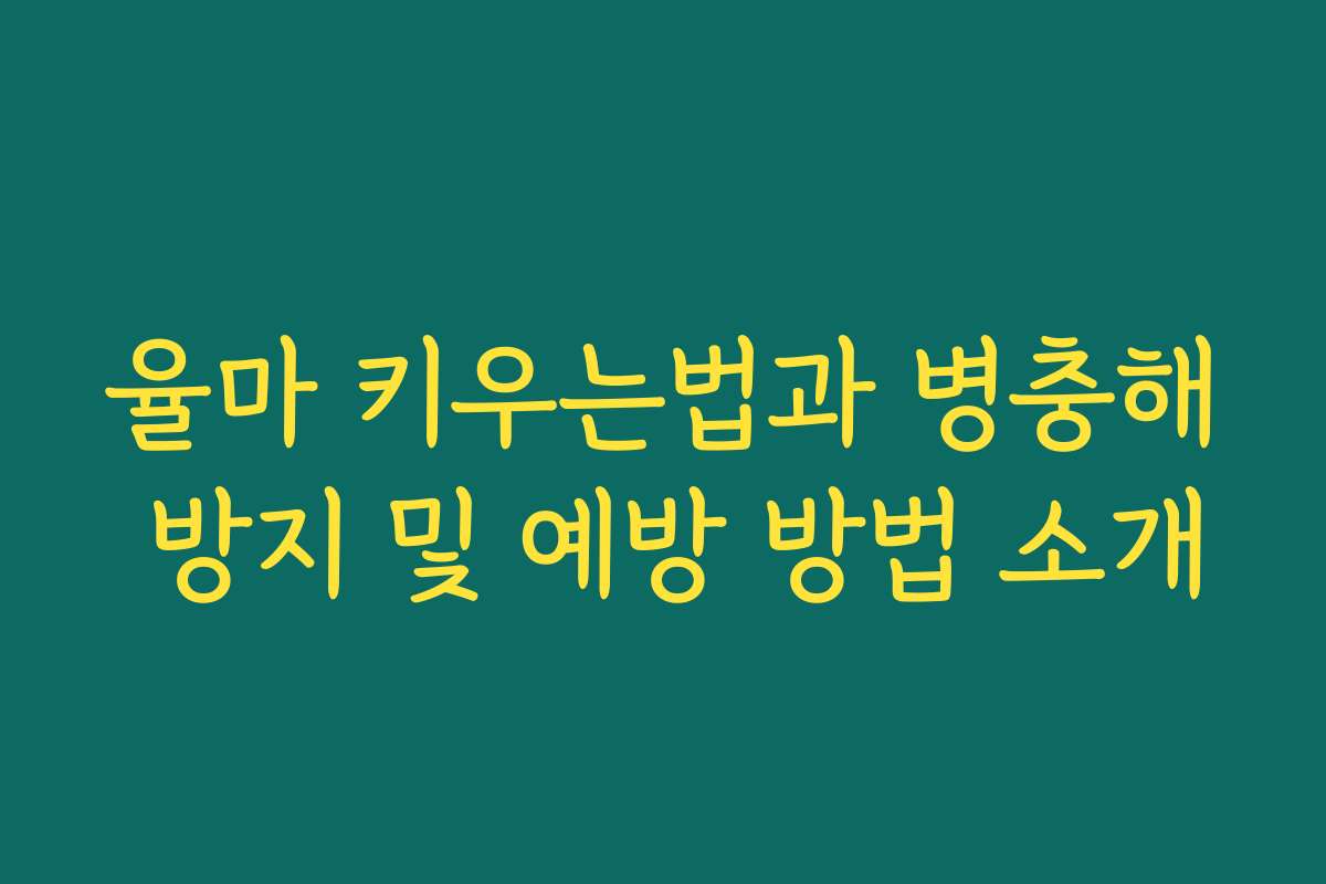 율마 키우는법과 병충해 방지 및 예방 방법 소개