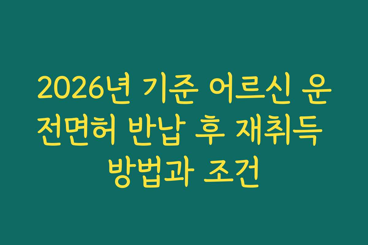 2026년 기준 어르신 운전면허 반납 후 재취득 방법과 조건