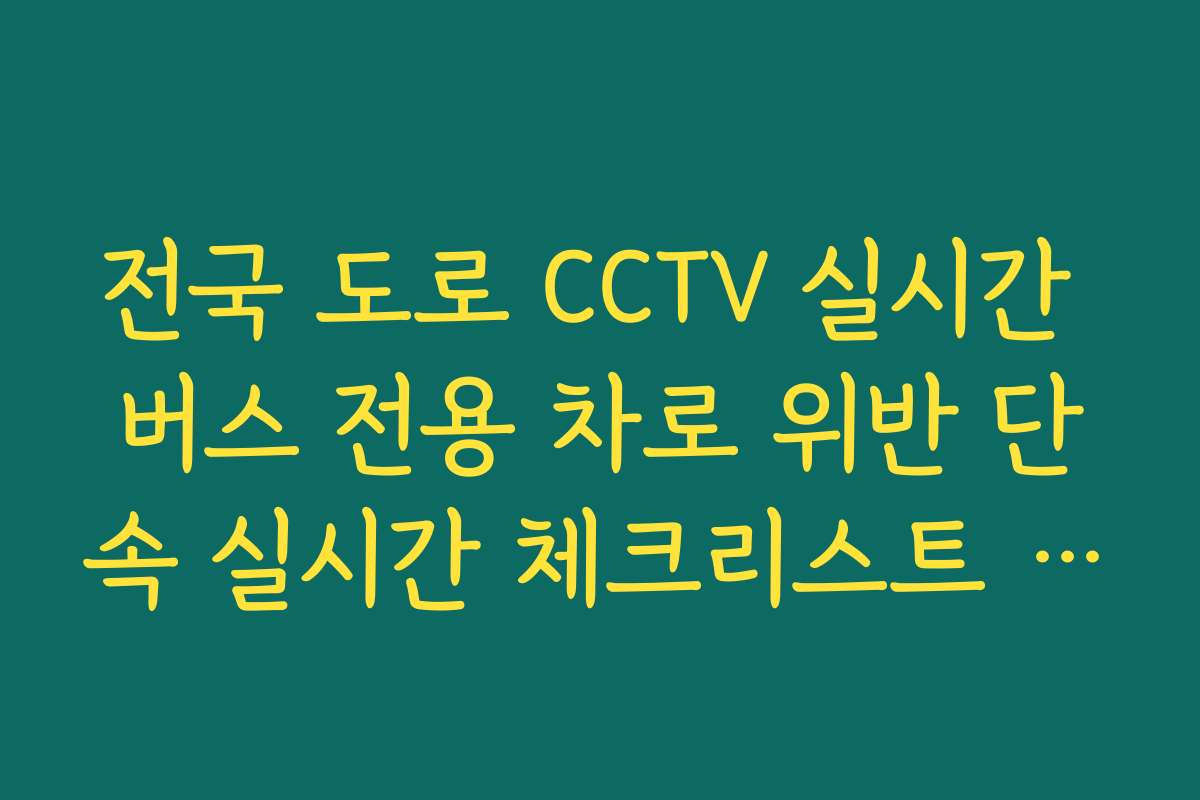전국 도로 CCTV 실시간 버스 전용 차로 위반 단속 실시간 체크리스트 안내