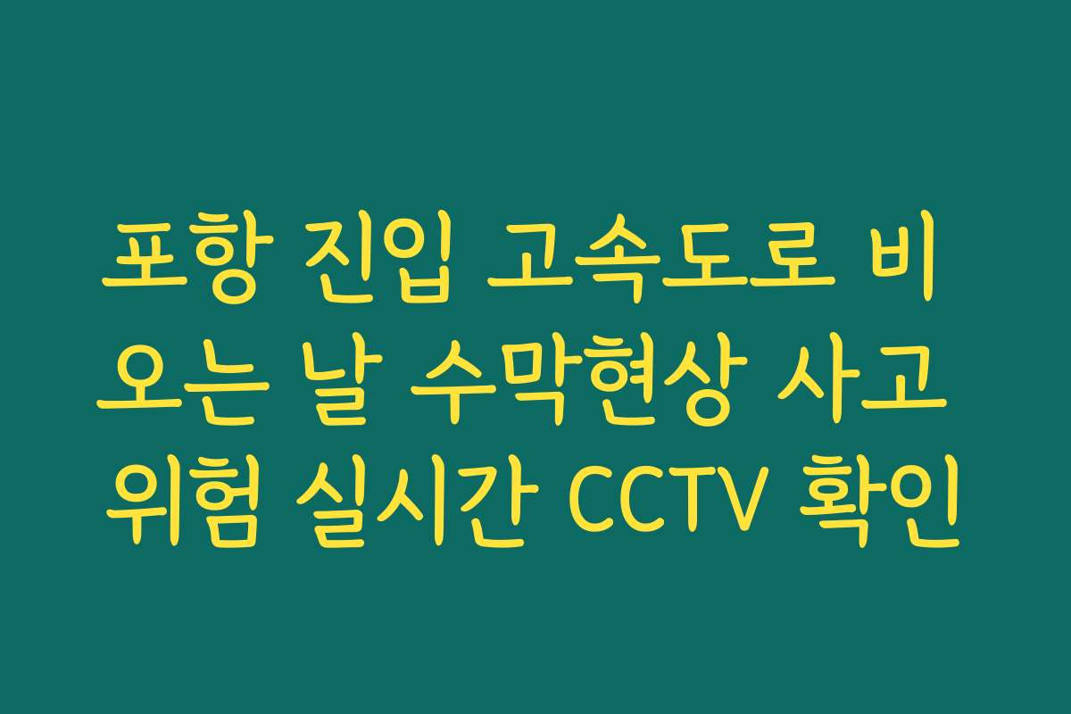 포항 진입 고속도로 비 오는 날 수막현상 사고 위험 실시간 CCTV 확인 포항 진입 고속도로 비 오는 날 수막현상 사고 위험 실시간 CCTV 확인