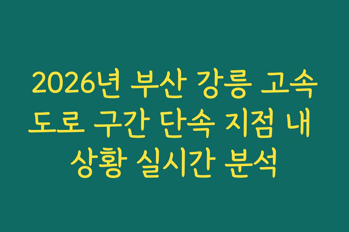 2026년 부산 강릉 고속도로 구간 단속 지점 내 상황 실시간 분석 2026년 부산 강릉 고속도로 구간 단속 지점 내 상황 실시간 분석