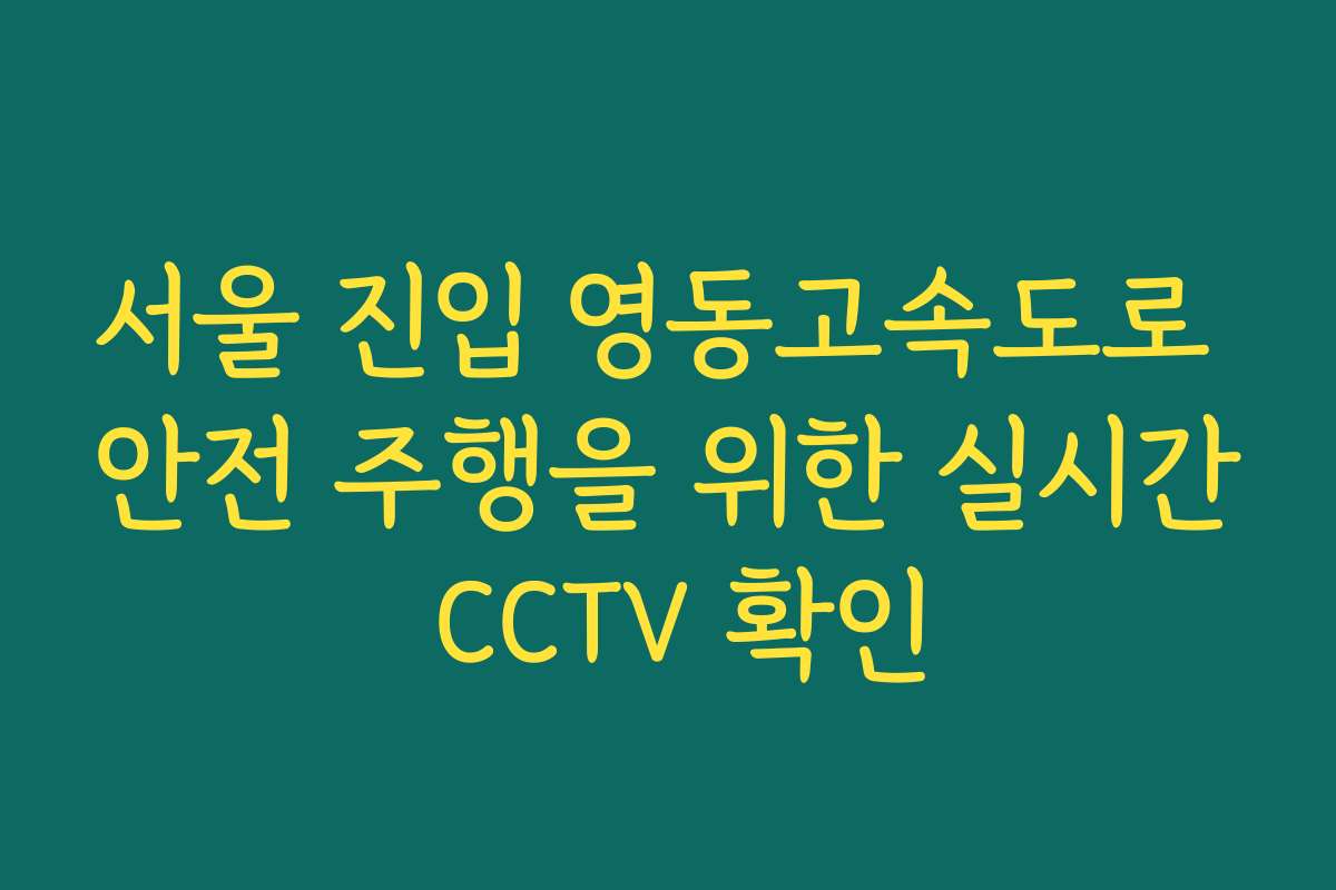 서울 진입 영동고속도로 안전 주행을 위한 실시간 CCTV 확인
