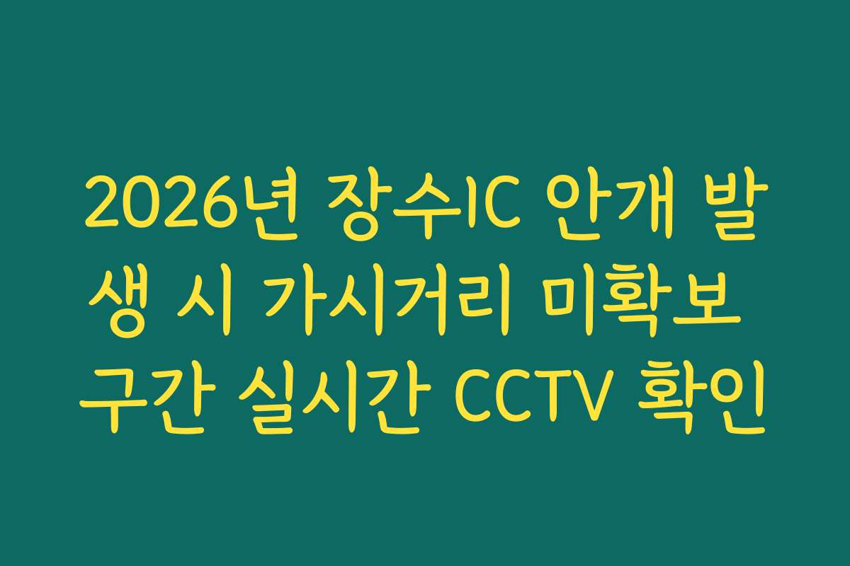 2026년 장수IC 안개 발생 시 가시거리 미확보 구간 실시간 CCTV 확인 2026년 장수IC 안개 발생 시 가시거리 미확보 구간 실시간 CCTV 확인